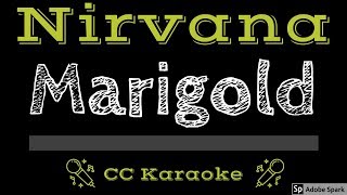 Nirvana • Marigold CC Karaoke Instrumental Lyrics [upl. by Noam472]