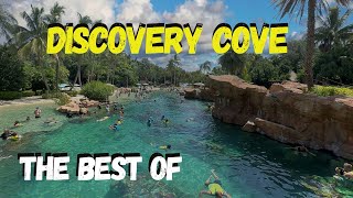 Discovery Cove  The Best Of [upl. by Caddaric]