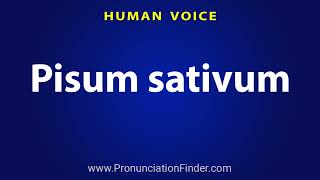 How To Pronounce Pisum sativum [upl. by Rector211]