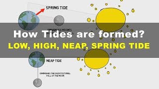 How Tides are Formed  Low High Neap Spring Tide  Geography UPSC IAS [upl. by Odyssey]