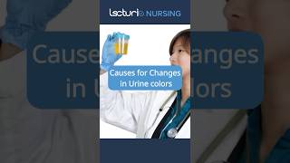 Decoding Urine Colors Insights into Kidney and Bladder Health nclexrn lecturio [upl. by Negyam]