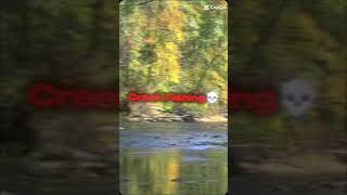 Lets Go Creek FIshing bassfishing bluegillfishing fish pikefishing carp [upl. by Ecnerwal]