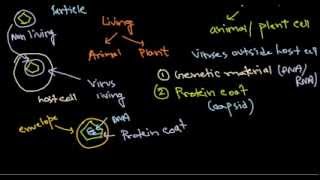 1 virus structure introduction [upl. by Krystin]