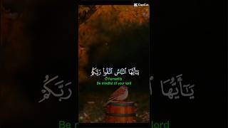 قرآن كريم اتقوا الله اكسبلور واخشو يوما لا ريب فيه ❤️‍🩹 [upl. by Ing996]