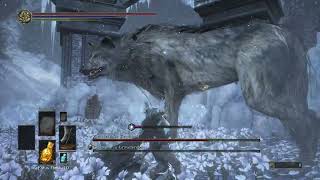 Dark Souls 3  Champions Gravetender amp Gravetender Greatwolf NG [upl. by Ialocin]