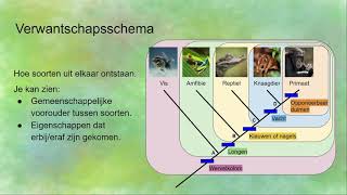 VerwantschapsschemaStamboom voor evolutie hoe lees je dat [upl. by Landrum]