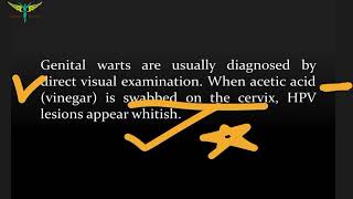 Condyloma Acuminata or Genital Warts or Veneral Warts [upl. by Ahsekram494]