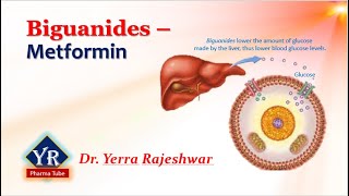 Biguanides  Metformin  Biguanides  YR Pharma Tube  Dr Yerra Rajeshwar  Dr YR [upl. by Aeikan]