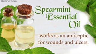 Spearmint Oil Benefits [upl. by Savick]