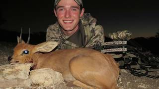 quotHUGEquot Surprise Steenbok With a Bow 1st of the Tiny 10 — Bow Hunting Namibia Africa [upl. by Cressler]