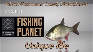 Unique Ide  GhentTerneuzen Canal Netherlands  Fishing Planet Guide [upl. by Eirojram299]