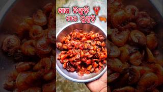 ଏଇ ସୁବିଧା କେବଳ ଗାଁ ରେ ମିଳେ 🔥🦞shortsfeed shorts ytshorts DasampDasvlogs [upl. by Converse636]