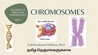 Chromosomes CBMPPart3Tamil [upl. by Ayvid]