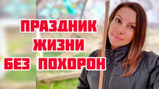 ЧТО СЛУЧИЛОСЬ НА ДЕГУСТАЦИИ У ЕЛЕНЫ БУДЕТ ПРАЗДНИК [upl. by Neneek]