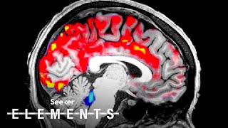 Scientists Discovered How Sleep Cleans Toxins From Your Brain [upl. by Piderit]