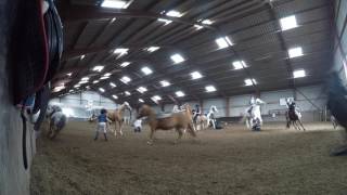 Styrt til ridning  crashes at riding school [upl. by Yemaj219]