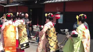 大石忌の祇園の芸舞妓（Geiko and Maiko）さんたち 2019 [upl. by Brittain298]