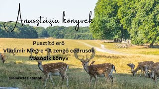 13 Fejezet  Anasztázia  2 Könyv  Pusztító erő  HANGOSKÖNYV AUDIOBOOK [upl. by Devaj]