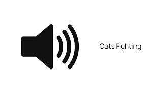 Cat fighting sound effect [upl. by Ahsyak]