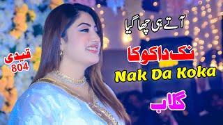 Nak Da Koka  Qaidi 804 Howay  Singer Gulaab  New Full Punjabi Song 2024 [upl. by Notsej]