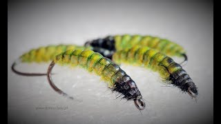 Hydropsyche  caddis larva [upl. by Akemhs143]