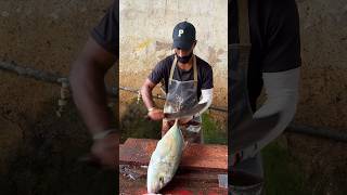 Amazing Best Fish Slicer You will Ever see [upl. by Bulley285]