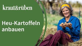 Heukartoffeln anbauen🥔 Kartoffeln anbauen ohne großes Feld [upl. by Olcott]