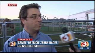 Turf Paradise  Alternative Racing Day 2016 [upl. by Aihsetan21]