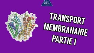 Transports membranaire  Partie 1 [upl. by Poucher794]