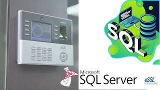 SQL Server installation and Configurations Essl EtimeTracklite WEB [upl. by Ledarf]