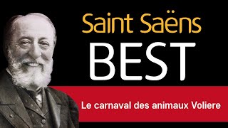 🎵 동물의 사육제 중 커다란 새장  생상스 Le carnaval des animaux Voliere SaintSaëns [upl. by Olnay]