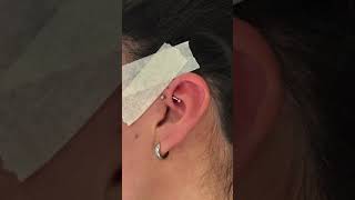 Piercing my triple cartilage AT HOME [upl. by Farmelo]