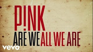 Pnk  Are We All We Are Official Lyric Video [upl. by Aremaj749]