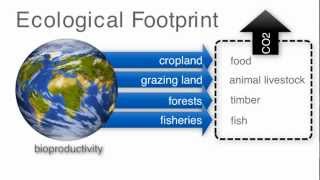 Population  video2 The ecological footprint [upl. by Weatherley]