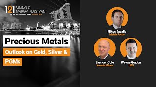 Precious Metals Panel Outlook on Gold Silver and PGMs [upl. by Gretta63]