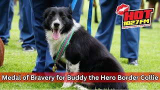 Medal of Bravery for Hero Buddy [upl. by Ailima]