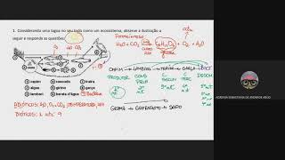 Resolução de exercícios que envolvem Fluxo De Energia [upl. by Noirad88]