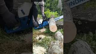 The Hyundai Petrol Chainsaw That Keeps On Cutting shorts [upl. by Niamart]