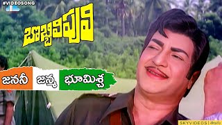 Bobbili Puli Movie Janani Janmabhoomischa Song NTR Sridevi skyvideostelugu [upl. by Rafaelof]