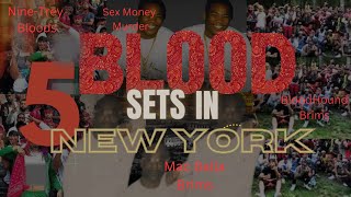 5 Blood Sets In New York  New York Gangs [upl. by Ashlin]