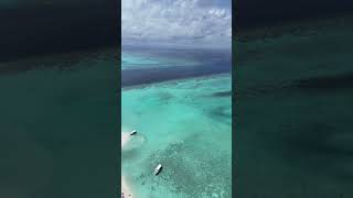 Maldivian Vibes drone cinematic travel maldives paradise [upl. by Nylarat]