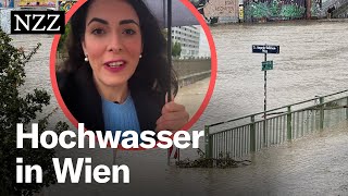 Hochwasser in Wien Nicht die Donau ist das Problem – sondern der Wienfluss [upl. by Laurin]