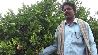 Success Story of Mosambi Sweet Lime Farmer in Natural Farming MethodAnantapuramu [upl. by Todhunter]