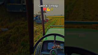 Gaon ki zindagi ❣️John deere Tractorytshorts farming shortstrending [upl. by Zelde587]