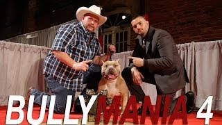 AMERICAN BULLY SHOW  BULLY MANIA 4  SHOW ONE [upl. by Laurence771]