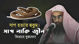 সাপ হত্যার হুকুম । সাপ নাকি জিন কিভাবে বুঝবেন  শাইখ মতিউর রহমান মাদানী  Tawhidi Media [upl. by Oruam279]