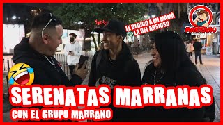 Serenatas Marranas con el Grupo Marrano en Vivo 😎 Alan Saldaña [upl. by Colvin414]