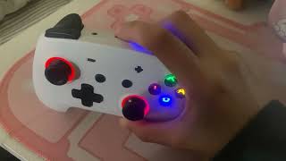 ECHTPower Switch Pro Controller Review Small but not too big for my hands [upl. by Daph302]