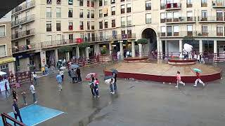 Llegada de las comparsas de gigantes a la Plaza de España Tauste 21092024 [upl. by Nosille905]