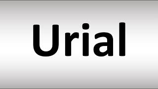 How to Pronounce Urial [upl. by Atiuqehs969]